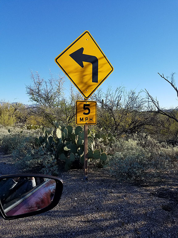 Saguaro_Cactus Forest Loop curve