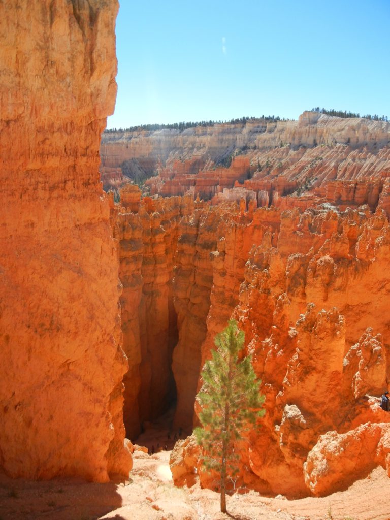 Bryce Canyon National Park_Queen’s Navajo Combination Loop 03