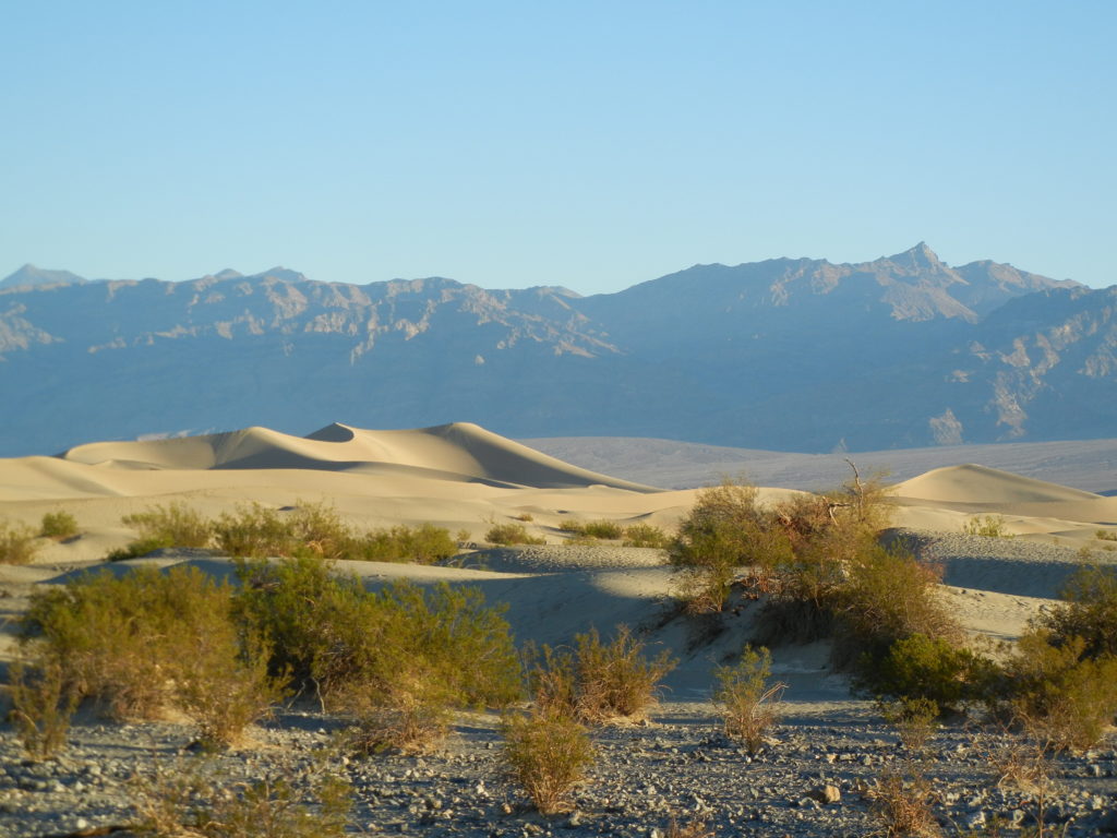 Death Valley National Park_Mesquite Flat Sand Dunes