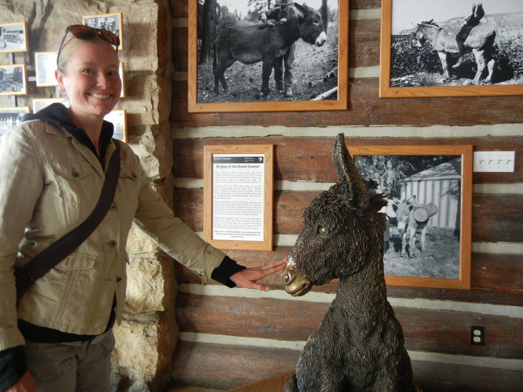 Grand Canyon National Park-North Rim_Brighty the Burro