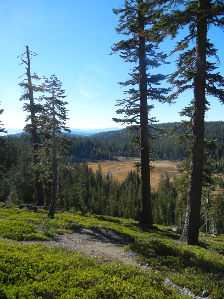 Lasson Volcanic National Park_Anklin Meadows