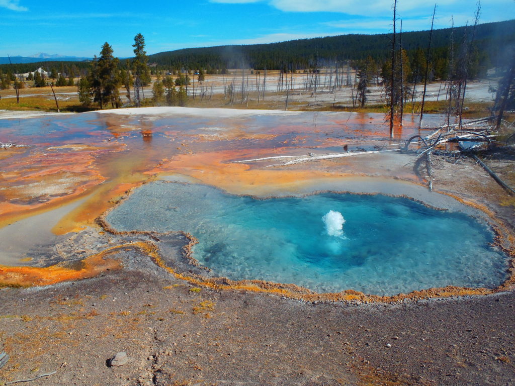 Yellowstone National Park