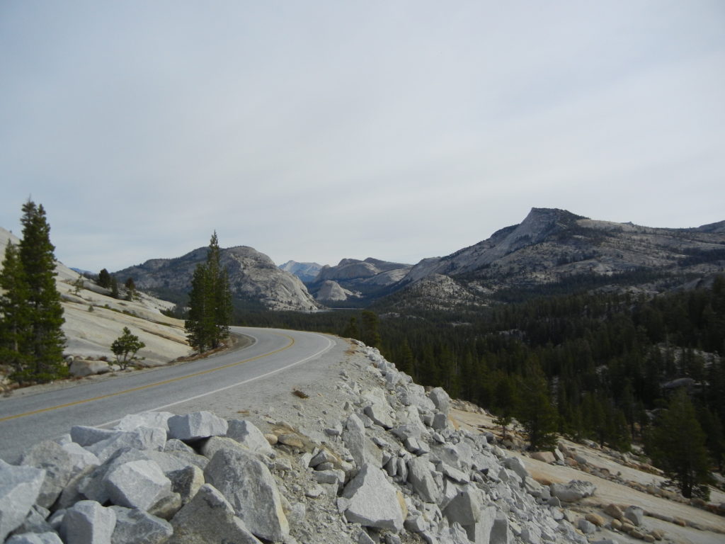 Yosemite National Park_Tioga Road