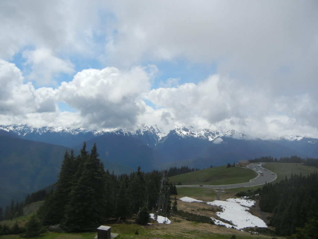 Olympic_Hurricane Ridge from Hill Trail