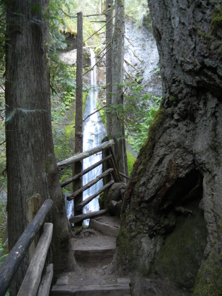 Olympic_Marymere Falls trail