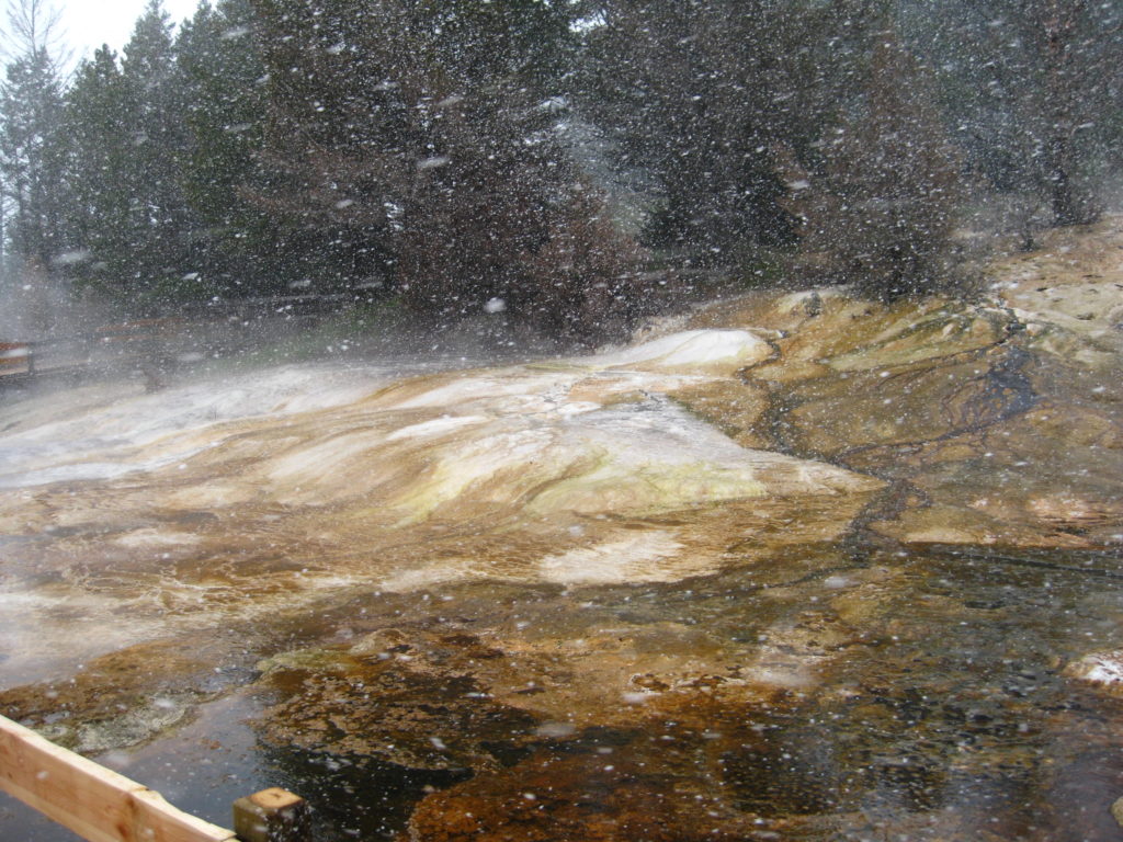 Yellowstone_Mammoth Hot Springs Trail_snow
