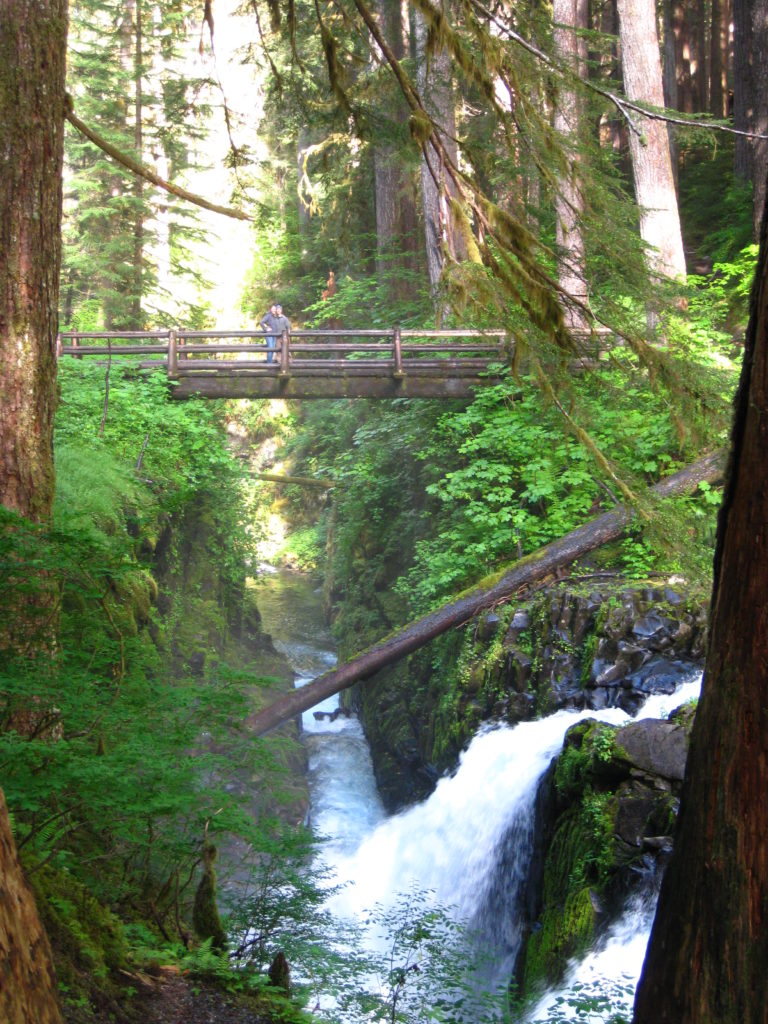 Olympic_Sol Duc Falls Trail