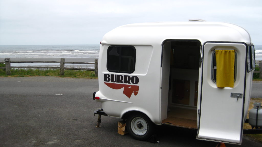 Olympic_Burro at Kalaloch Beach