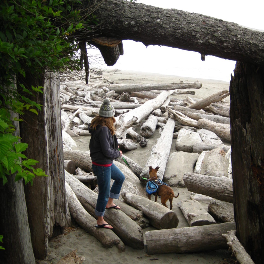 Olympic_Kalaloch Beach