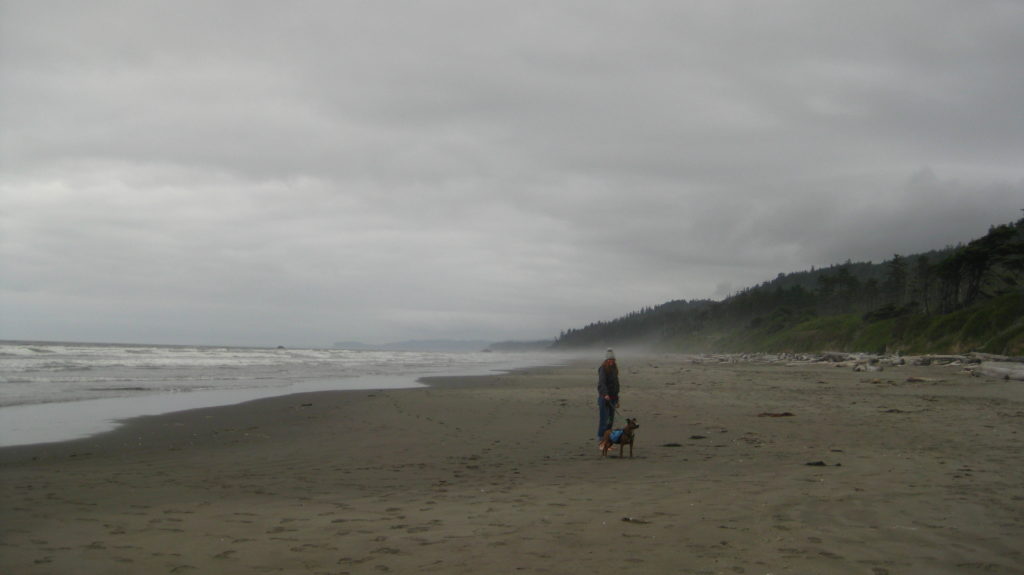 Olympic_Kalaloch Beach