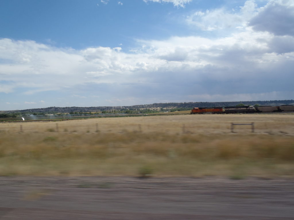 Driving_train in the plains